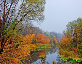 Осенняя палитра в Арзамасе. Фото Д. Начаркина